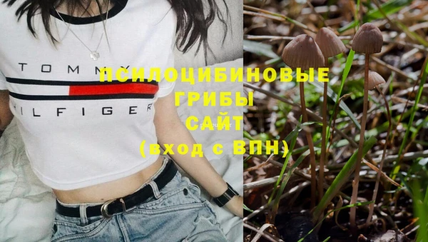 экстази Горняк